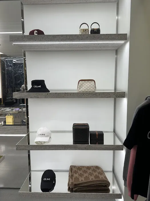 CELINE NASHVILLE NORDSTROM 1