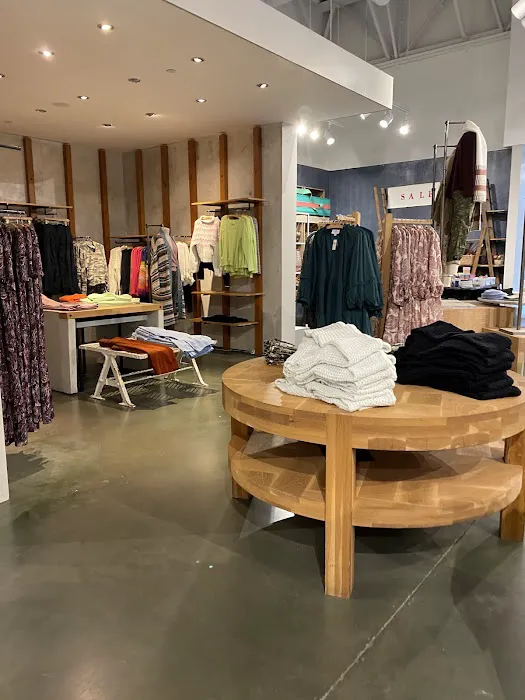 Anthropologie 3