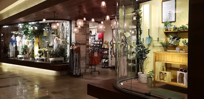 Altar'd State Fayette Mall 6