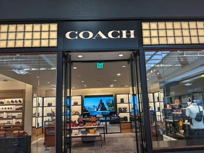 COACH 6
