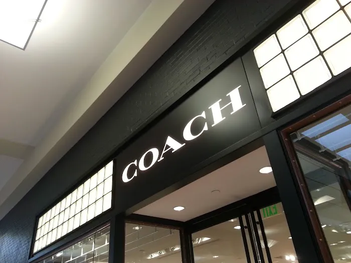 COACH 8