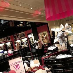 Victoria's Secret & PINK by Victoria's Secret ico