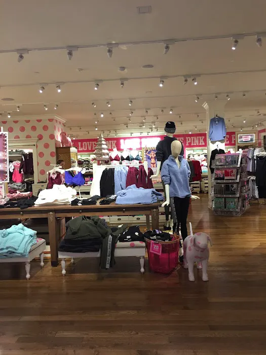Victoria's Secret & PINK by Victoria's Secret 4