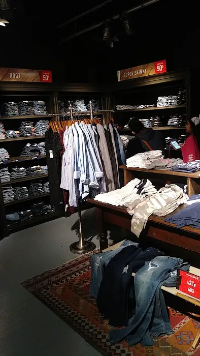 Hollister Co. 1