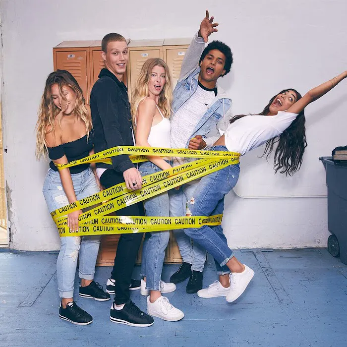 Hollister Co. 4