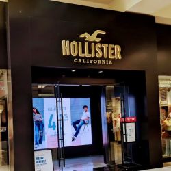 Hollister Co. ico
