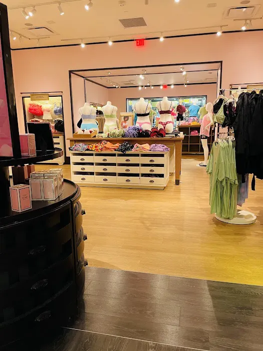 Victoria's Secret & PINK by Victoria's Secret 2