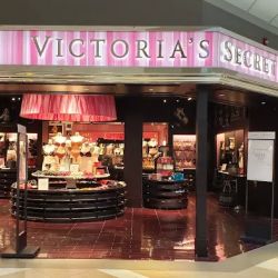 Victoria's Secret & PINK by Victoria's Secret ico