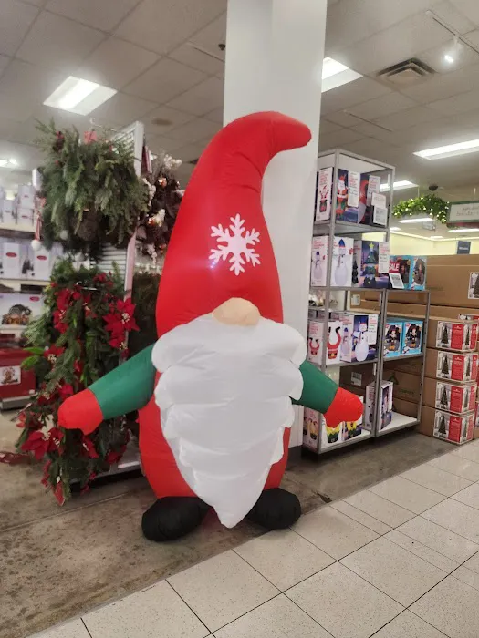 Kohl's 3
