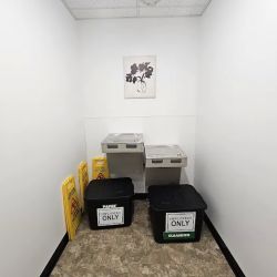 Dollar Tree ico