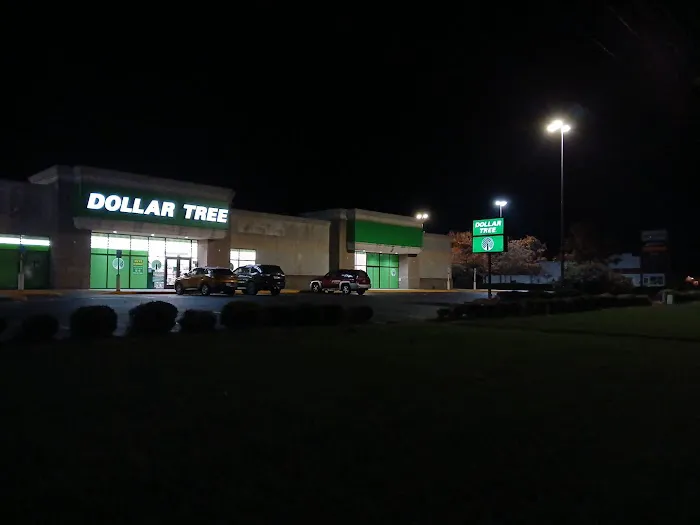 Dollar Tree 4