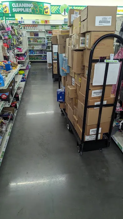 Dollar Tree 1