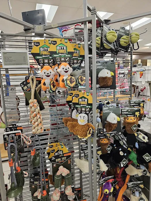 Kohl's 5