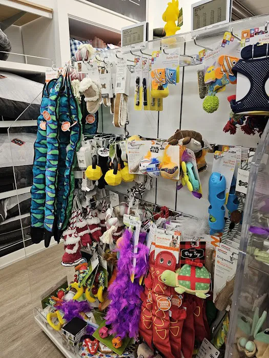 Kohl's 9