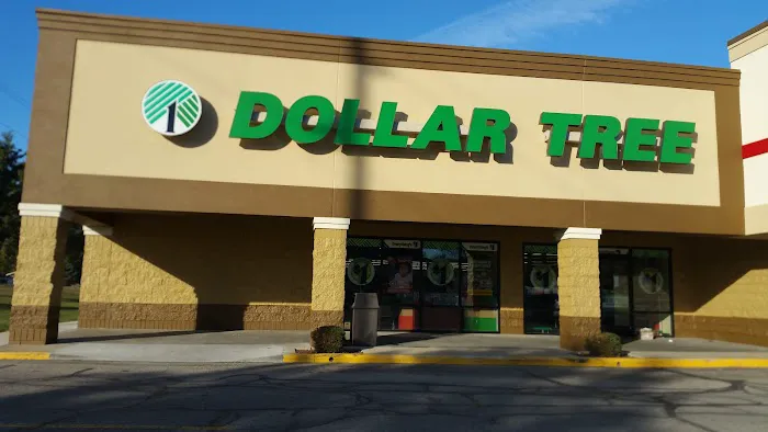 Dollar Tree 7
