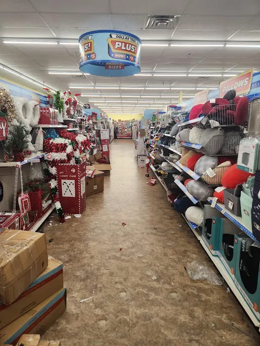 Dollar Tree 4