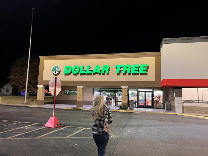 Dollar Tree 3