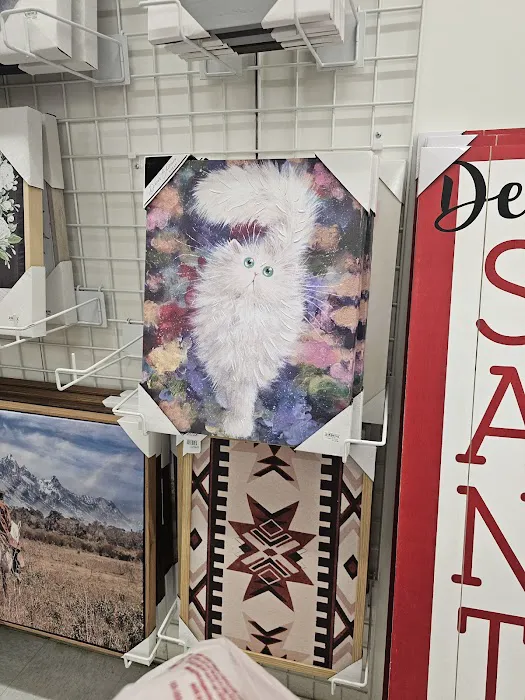 bealls 5