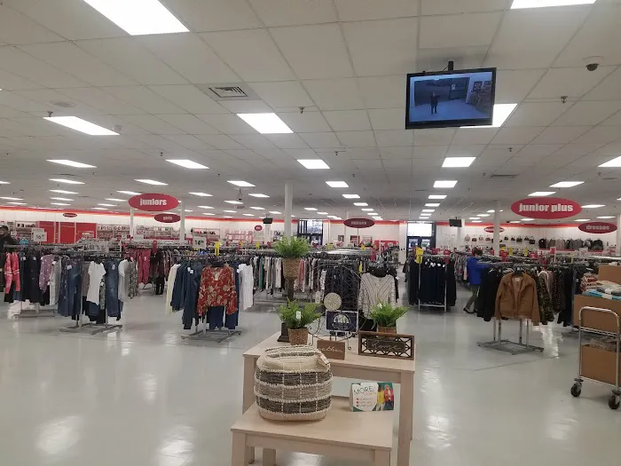 bealls 7