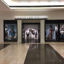 American Eagle ico