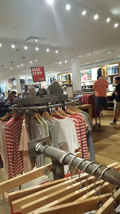 American Eagle 6