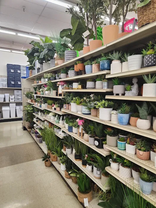 Big Lots 3