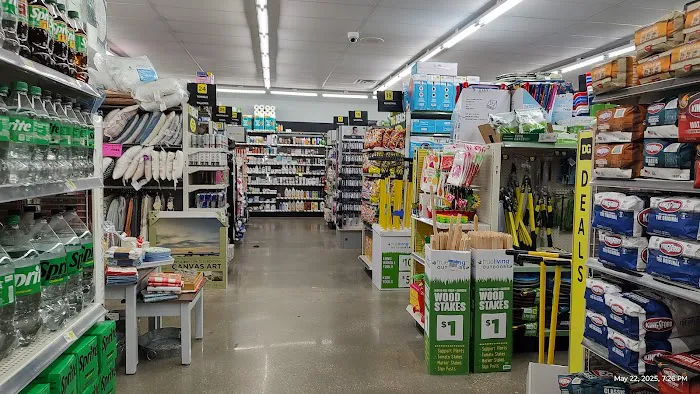 Dollar general 3