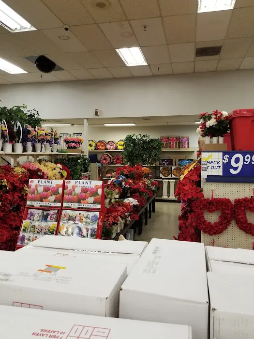 Roses Discount Store 6