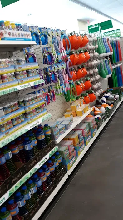 Dollar Tree 6