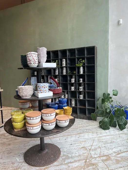 Anthropologie 2