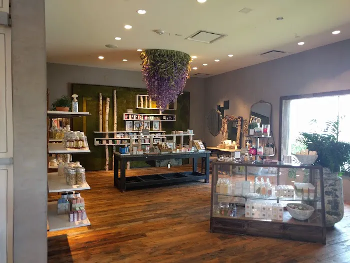 Anthropologie 4