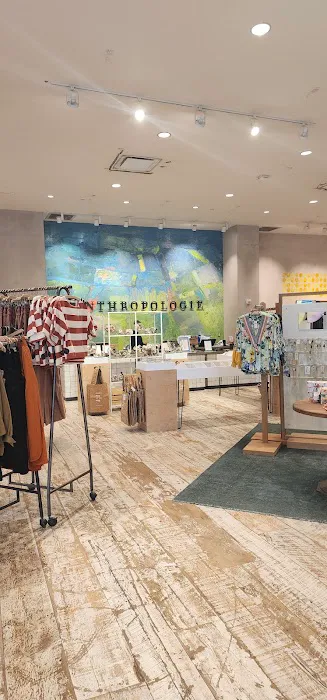Anthropologie 1