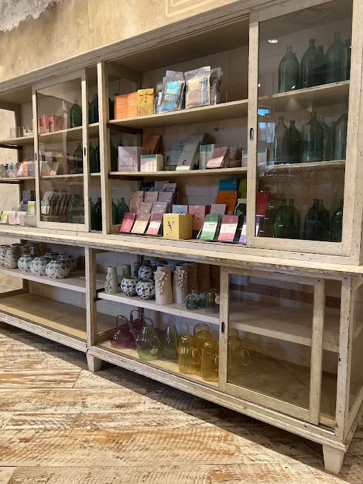 Anthropologie 8