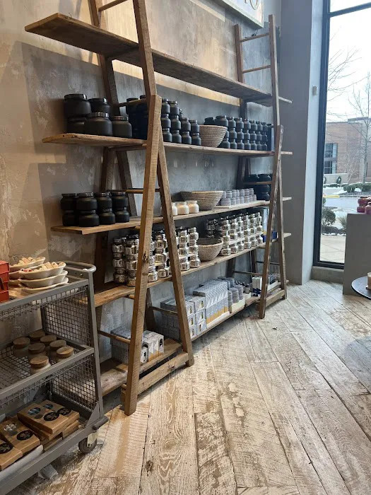 Anthropologie 5