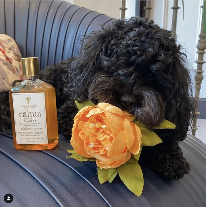 Bellini's Skin & Parfumerie 9