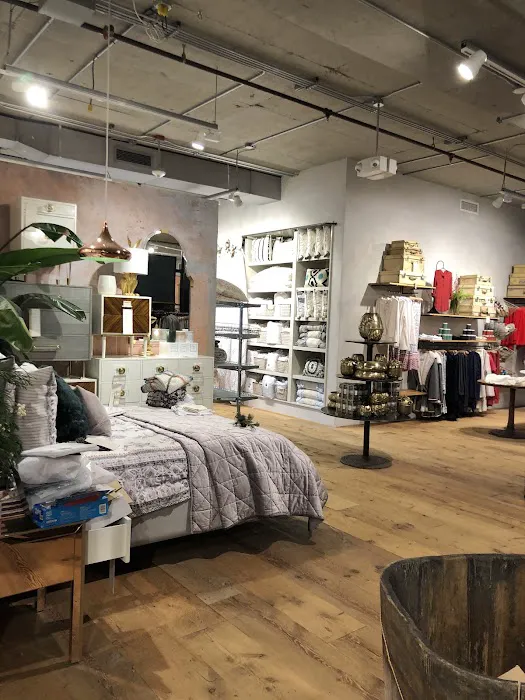 Anthropologie 3