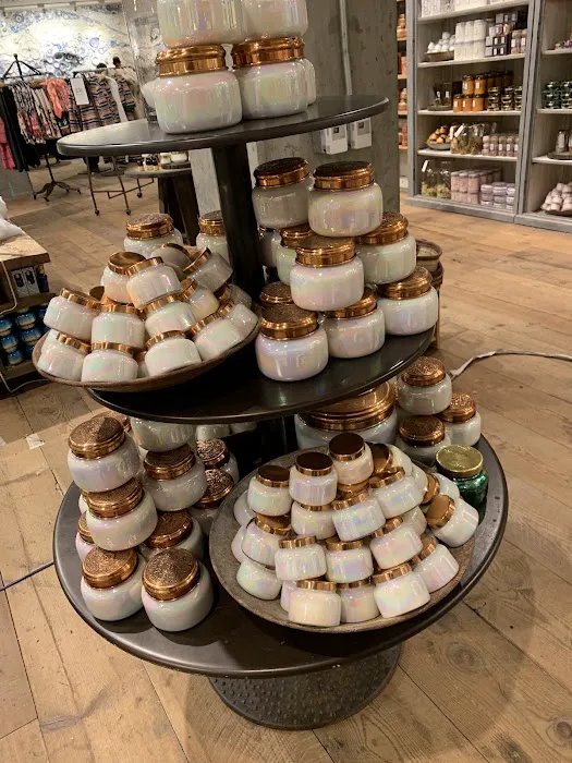 Anthropologie 0