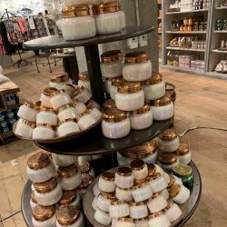 Anthropologie ico