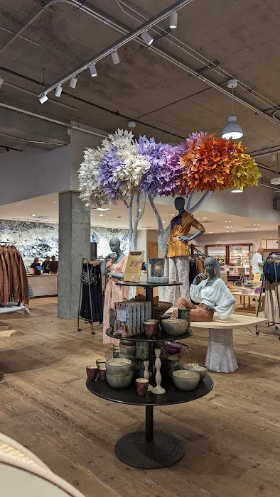 Anthropologie 6