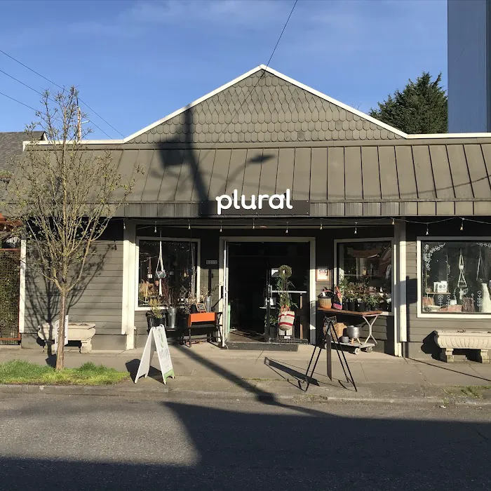 Plural Collective 0