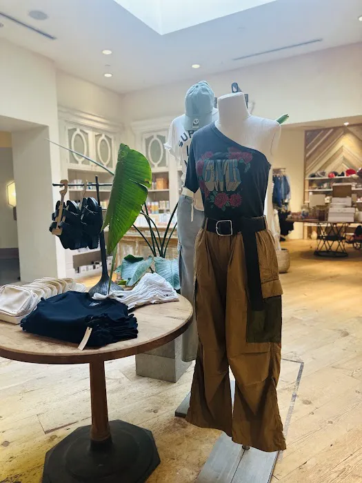 Anthropologie 6