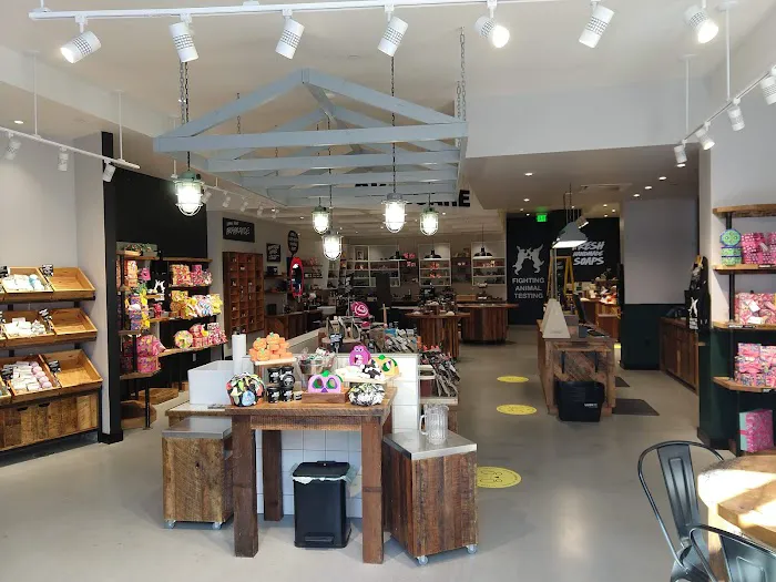 Lush Cosmetics Bridgeport Village 2
