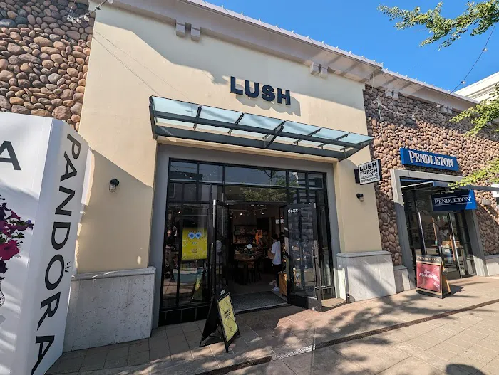 Lush Cosmetics Bridgeport Village 7