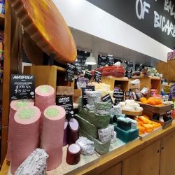 Lush Cosmetics Washington Square ico