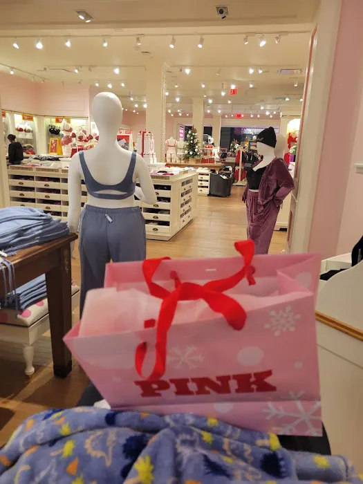PINK by Victoria's Secret 3