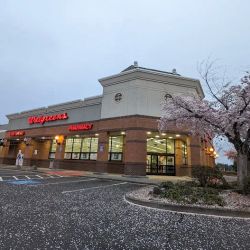 Walgreens ico