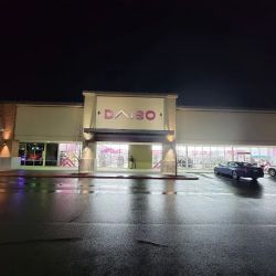 Daiso - Japanese Household Goods ico