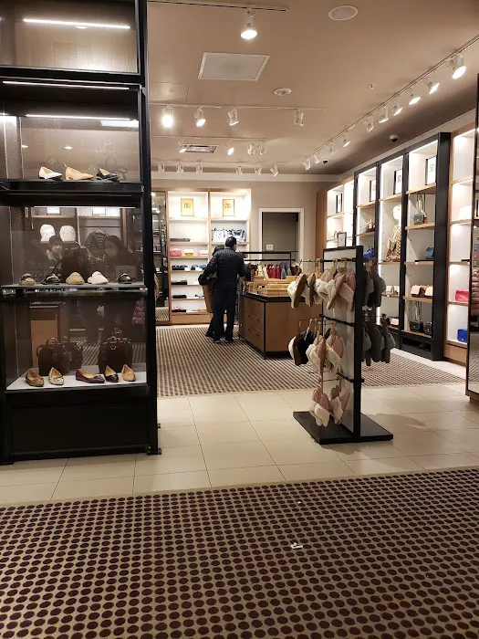COACH Outlet 5