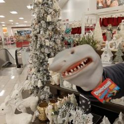 Kohl's ico