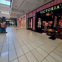 Victoria's Secret & PINK by Victoria's Secret ico